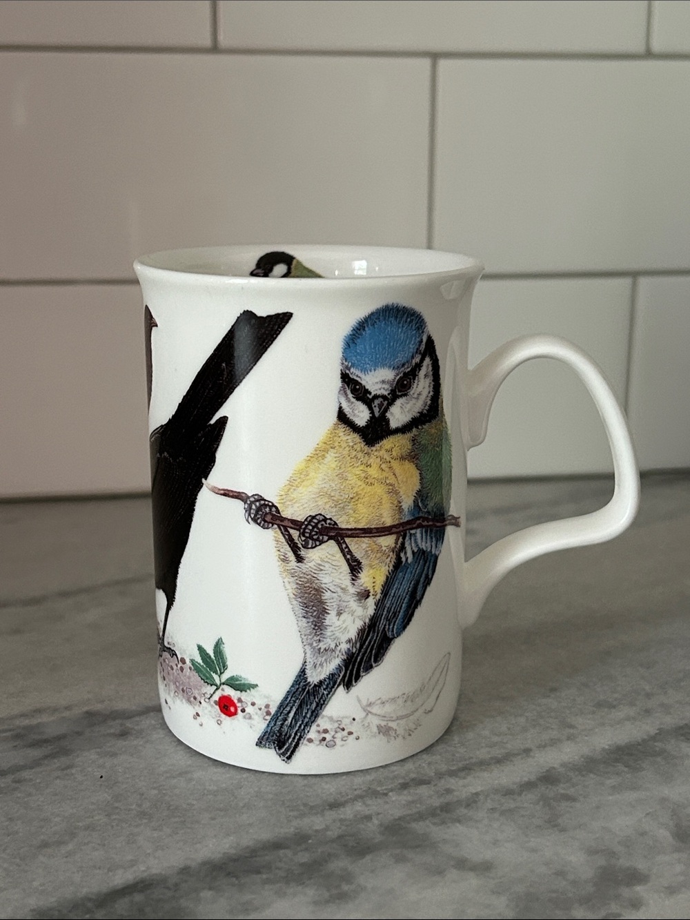 Vintage Roy Kirkham Garden Birds Fine Bone China Mug Cup